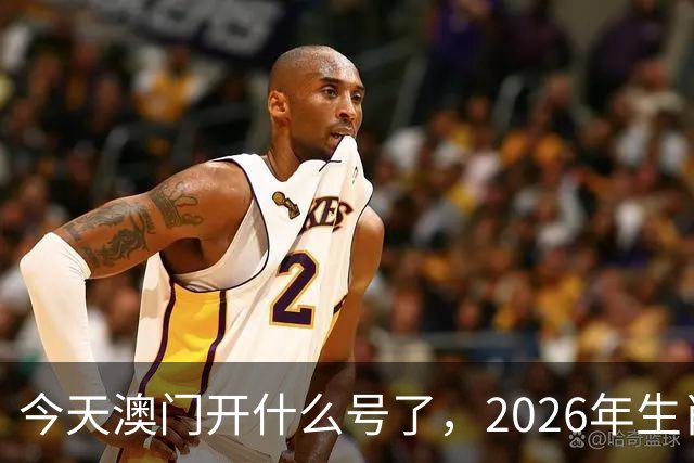 今天澳门开什么号了，2026年生肖码图，四不像正版49跑狗图图库图片大全，第291期新六合彩买什么生肖