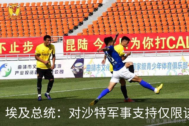 埃及总统：对沙特军事支持仅限该国领土