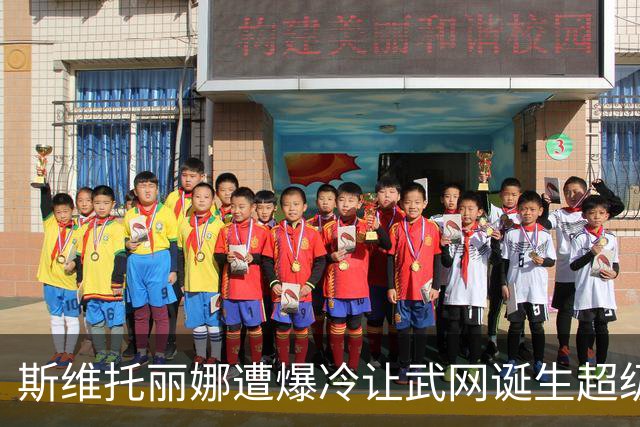 斯维托丽娜遭爆冷让武网诞生超级黑马，霍达尔领走上海逆转王头衔