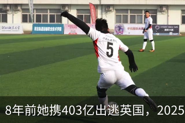 8年前她携403亿出逃英国，2025年落网时账上竟有480亿，咋回事